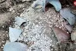 کوزه حاوی 20 هزار سکه 300 ساله در یک خانه تاریخی کشف شد 