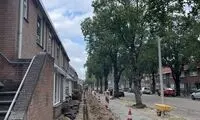 یک ایرانی با دیدن این صحنه در هلند، اشکی شد
