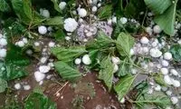 دو قاب از تگرگ‌های دانه درشتی که امروز بارید