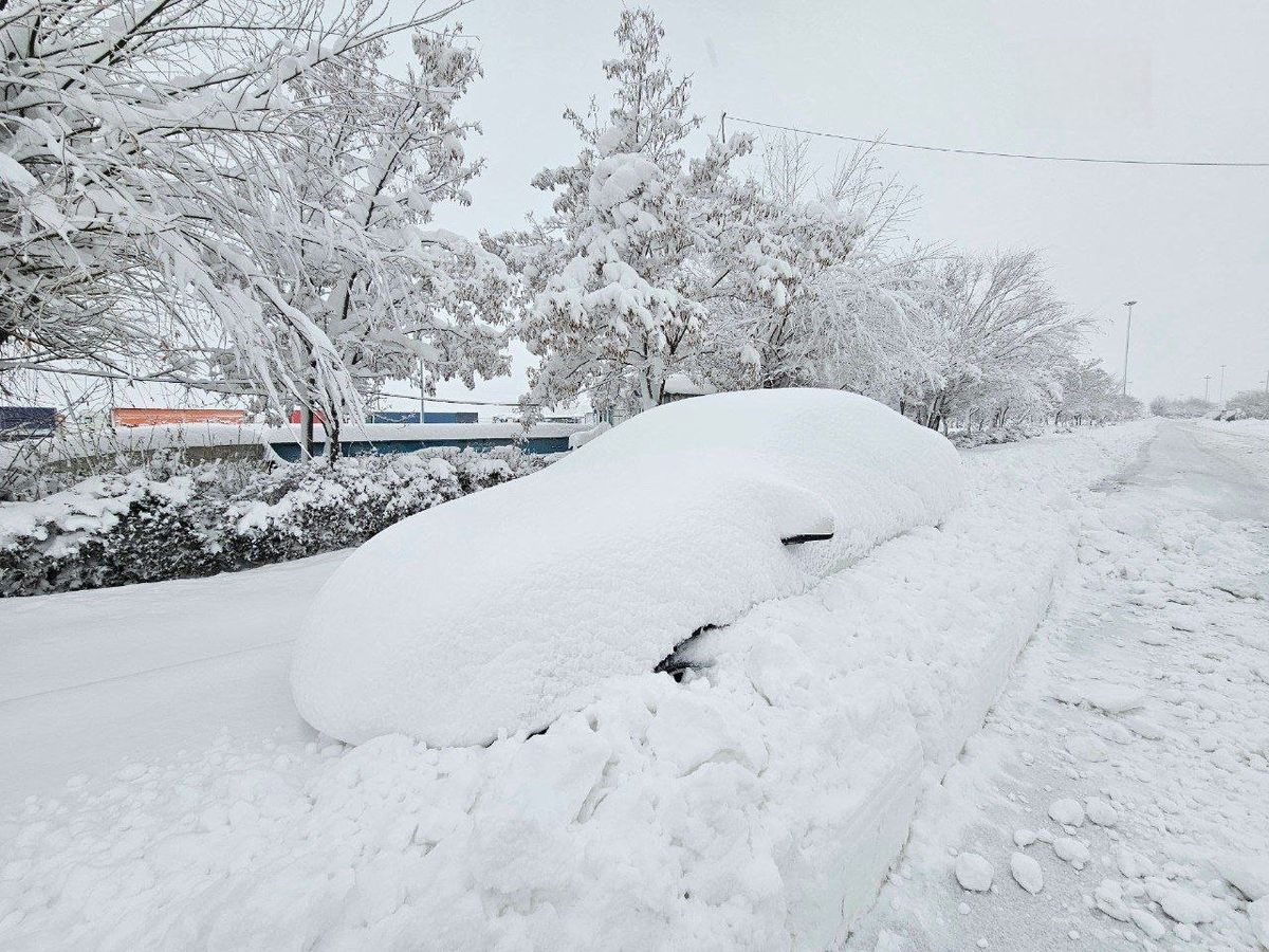   خودروها زیر برفِ این بخش ایران مدفون شدند 