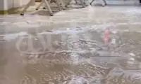 سر خوردن خنده‌دار یک گربه بازیگوش روی زمین لیز