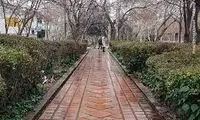 تصاویر زیبا از بارش باران در تهران
