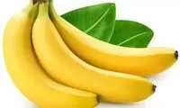 میوه انرژی‌زا با خواص بی‌نظیر