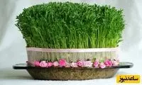 خلاقیت جالب برای آماده کردن سبزه عید 