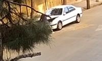 هواشناسی استان تهران اطلاعیه داد