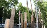 رشد نجومی قطع درختان در تهران در ازای ۳ هزار میلیارد تومان
