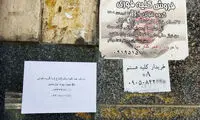 اعضای بدنت را بفروش و پراید بگیر!