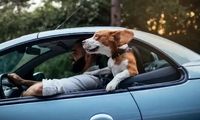 کولر یا پنجره پایین، کدام یک بنزین بیشتری می‌سوزاند؟