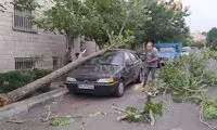 هشدار؛ تهرانی‌ها اینجا خودرو پارک نکنند