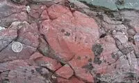 کشفی که وجود حیات فرازمینی را تأیید می‌کند!