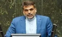 نماینده مجلس: «پیرپسر» باعث فساد و طلاق شده!