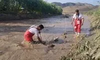حادثه تلخی که برای ۳دختر نوجوان کرمانی افتاد