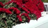 دیروز یک دختر در تهران هزار شاخه گل رز هدیه گرفت