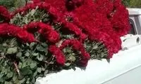 دیروز یک دختر در تهران هزار شاخه گل رز هدیه گرفت