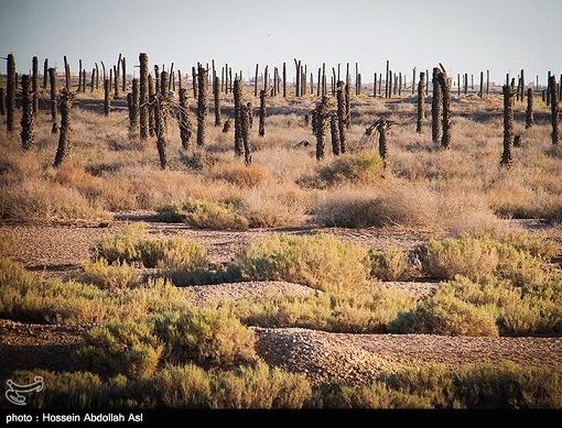 ترکیه این گونه آبادان و مردمش را نابود کرد