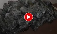 جاساز باورنکردنی ۸۰۰ کیلو تریاک که کشف شد