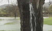 جوشش چشمه اما این بار از جایی غیرِ زمین و سنگ!
