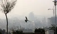 تنفس هوای ناسالم در ۱۸ نقطه تهران 