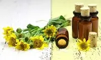معرفی ۱۰گیاهی که حکم مسکن دارند