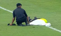 حمله زنبورها باعث از پا در آمدن داور شد!
