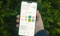 واریز اشتباهی هزار دلار به حساب کاربران گوگل!
