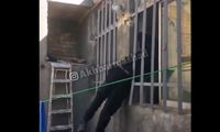 با بدشانس‌ترین سارق ایرانی آشنا شوید!