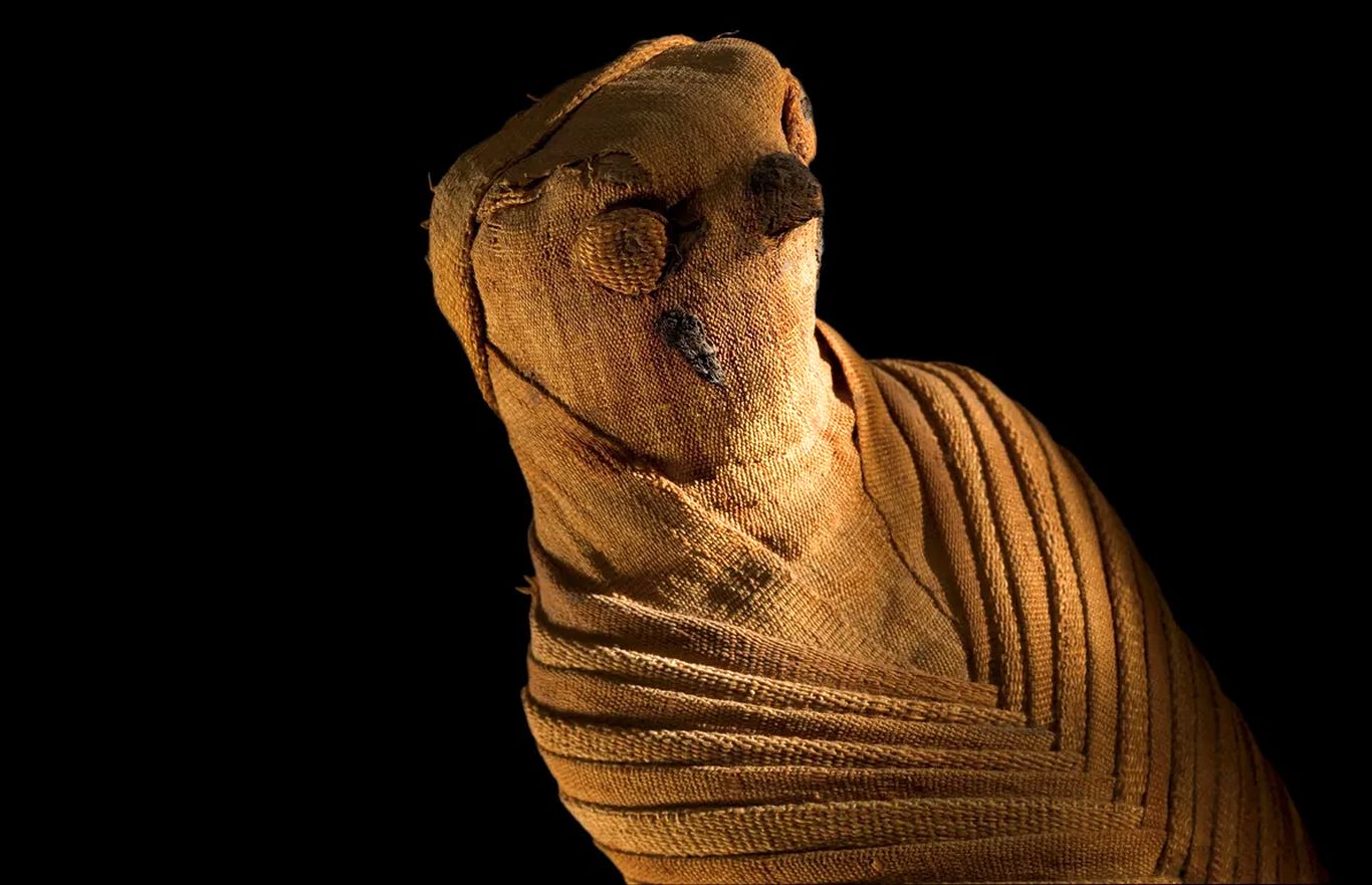 عجیب‌ترین مومیایی‌های مصر باستان را ببینید