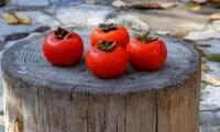 عوارض وحشتناک زیاده روی در مصرف خرمالو