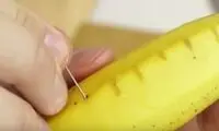 نتیجه فرو کردن سوزن در موز