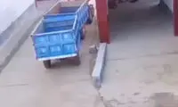 مهارت شگفت‌انگیز یک راننده تراکتور در رانندگی با دو گاری!