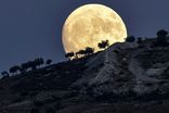 فرصت دیدار با ابرماهِ سال