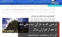 وقتی کهن‌ترین زن ایران ثبت ملی شد
