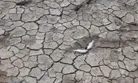 زمان نابودی کامل تالاب انزلی اعلام شد