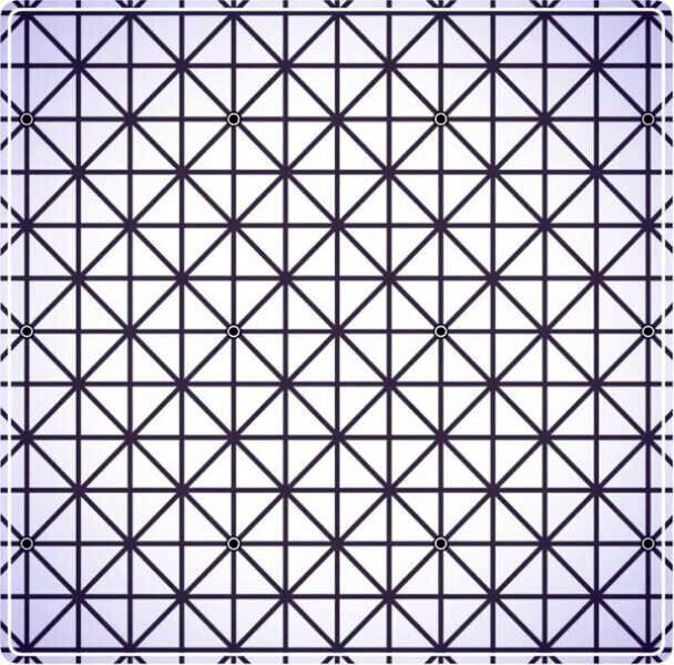 تست خطای دید؛ چند نقطه سیاه روی شبکه خطوط وجود دارد؟
