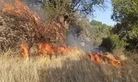 ویدئو آخرالزمانی از آتش‌سوزی در ارتفاعات گیلانغرب 