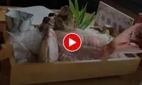 خوردن ماهی زنده توسط چینی‌ها در رستوران!