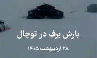 ویدئو خیره‌کننده از بارش برف امروز در توچال