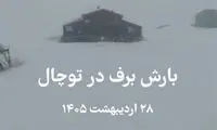 ویدئو خیره‌کننده از بارش برف امروز در توچال