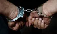 تعداد اراذل و اوباش دستگیر شده اعلام شد