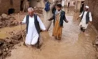 یک افغانی: به جای آب باید ادرار برای ایرانی‌ها رها شود!