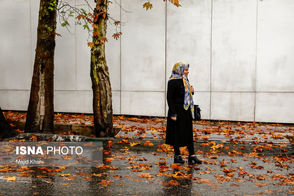 عکس عجیب از پاییزِ تهران به فاصله یک سال!