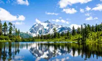 کدام درختان در مقابل خشکسالی مقاوم‌ترند؟