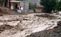 ویدئوی دردناکی که امروز از مشهد وایرال شد