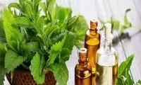 این گیاه متخصص کاهش درد و تقویت حافظه است
