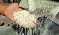 برنج خارجی باز هم گران شد