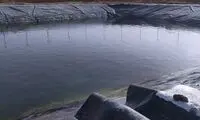 کشف جسد یک مرد میانسال در استخر کشاورزی
