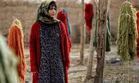 داستان مرموزی که این‌روزها باید روی پرده تماشا کنید