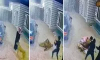 حمله هولناک شیر به دو مرد عرب