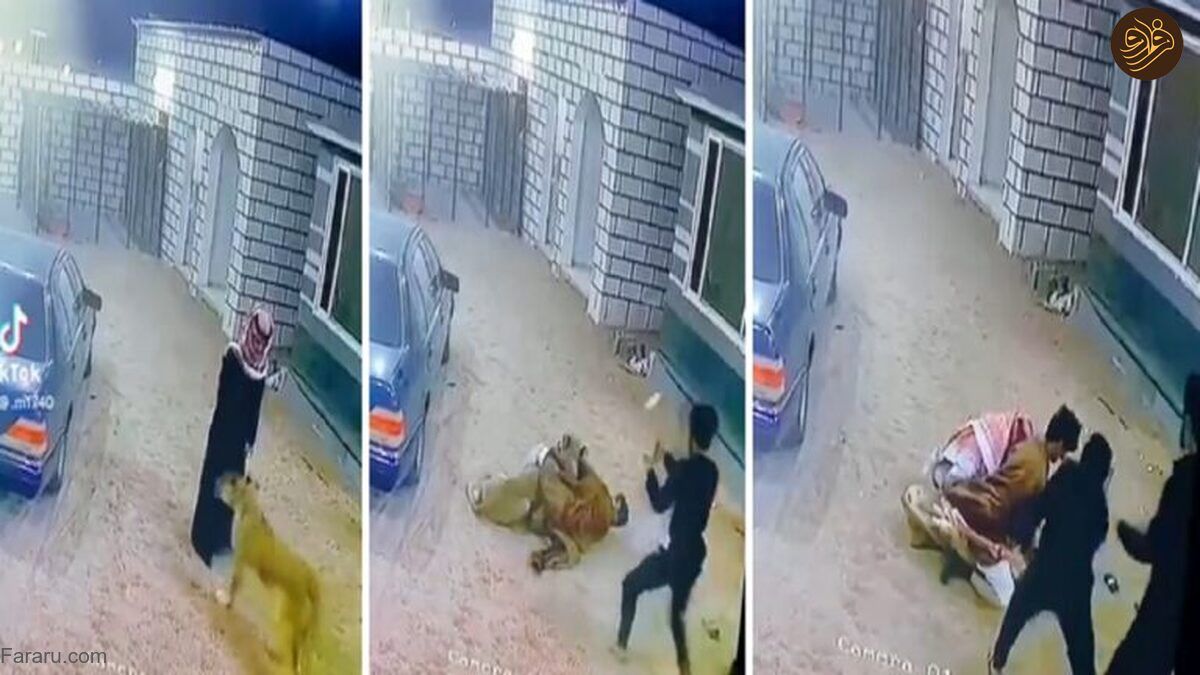 حمله هولناک شیر به دو مرد عرب