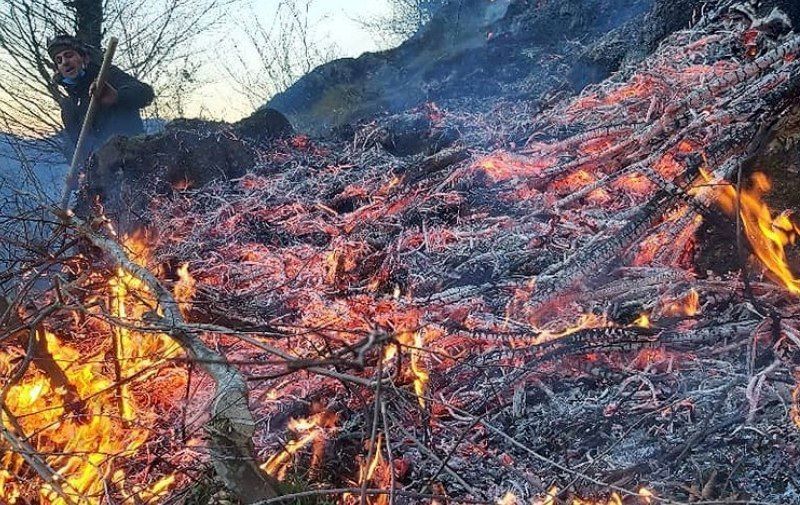 آتش‌سوزی جنگلی در ۱۷ نقطه از استان گیلان